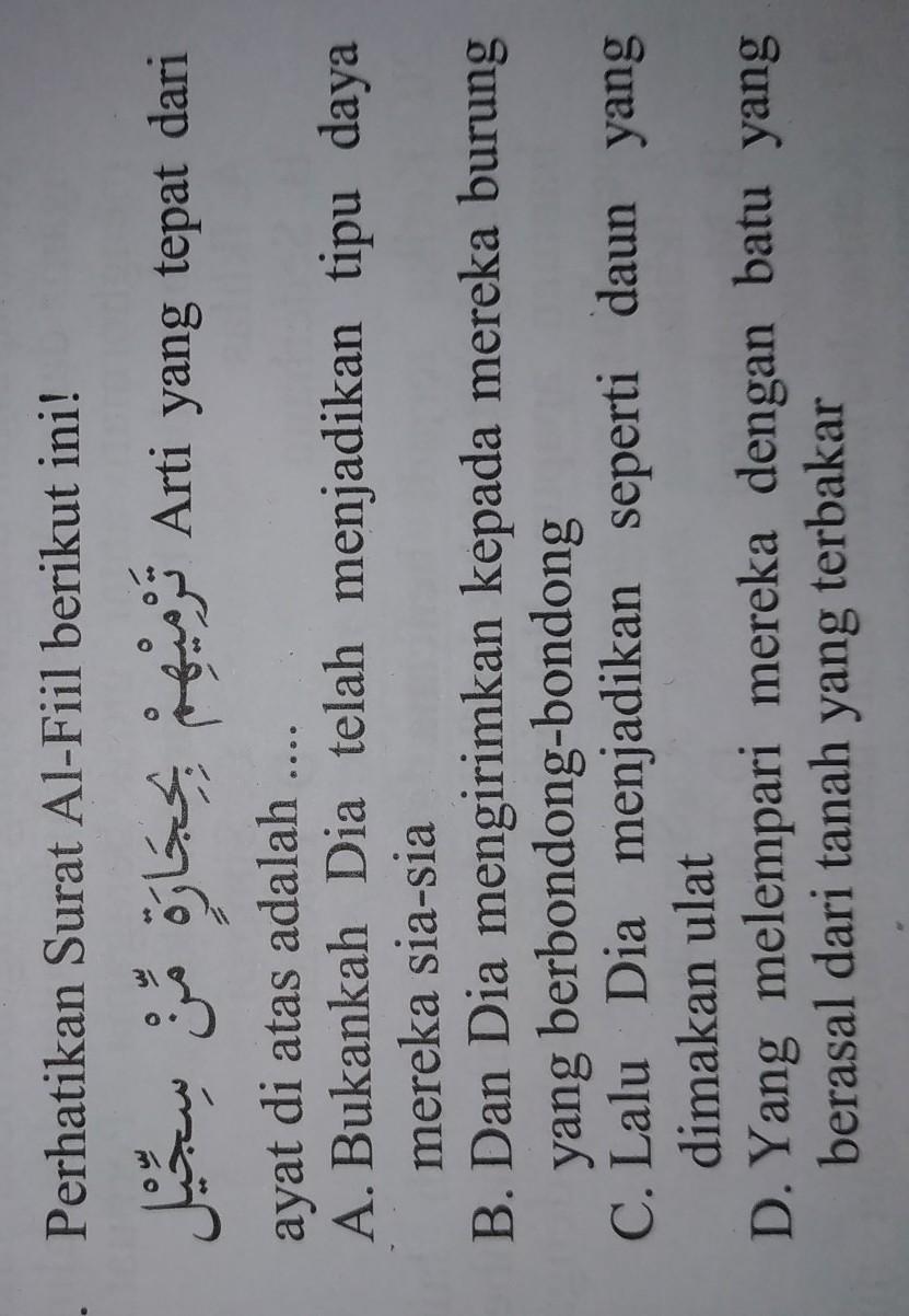 Detail Surat Al Fil Terdiri Dari Berapa Ayat Nomer 50