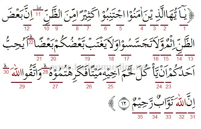 Surat Al Hujurat Ayat 12 Beserta Tajwidnya - KibrisPDR