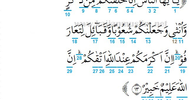 Detail Surat Al Hujurat Ayat 13 Beserta Artinya Nomer 6