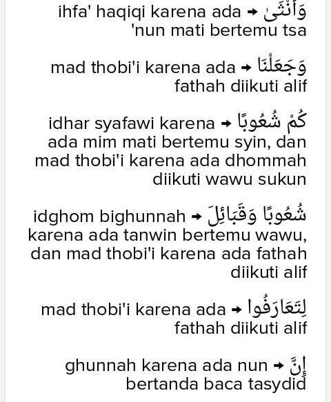 Detail Surat Al Hujurat Ayat 13 Beserta Tajwidnya Nomer 12