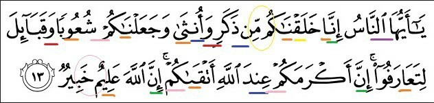 Detail Surat Al Hujurat Ayat 13 Beserta Tajwidnya Nomer 9