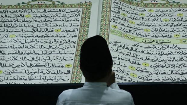 Detail Surat Al Ikhlas Untuk Memberi Pelajaran Orang Zalim Nomer 18