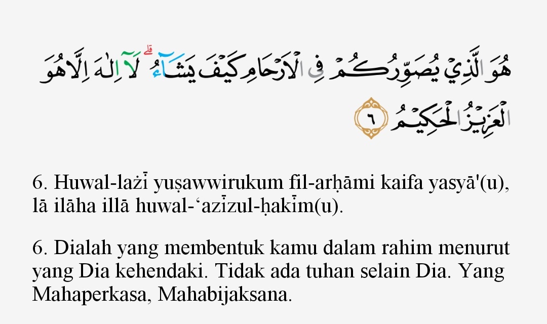 Detail Surat Al Imran Berapa Ayat Nomer 43