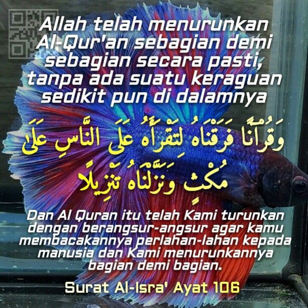 Detail Surat Al Isra Ada Berapa Ayat Nomer 40