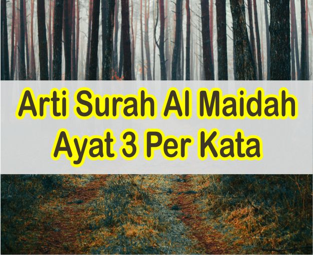 Detail Surat Al Maidah Ayat 2 3 Beserta Artinya Nomer 31