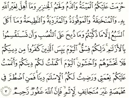 Detail Surat Al Maidah Ayat 3 Dan Artinya Nomer 21