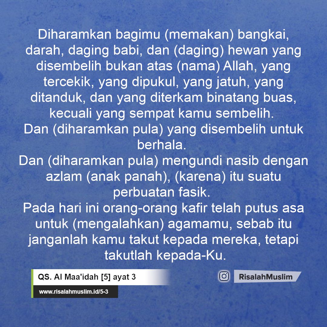 Detail Surat Al Maidah Ayat 3 Dan Artinya Nomer 44