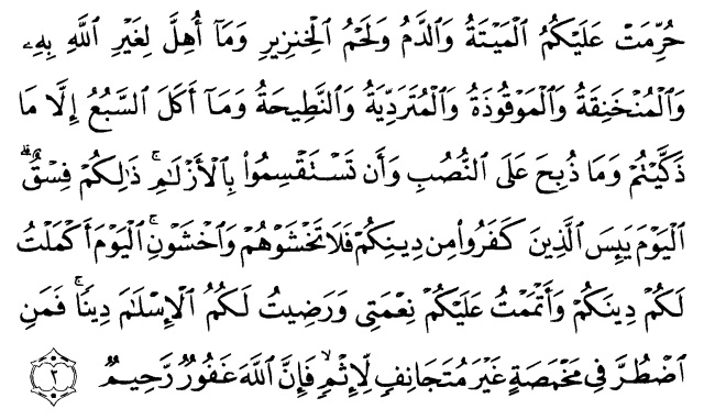 Detail Surat Al Maidah Ayat 3 Dan Artinya Nomer 9