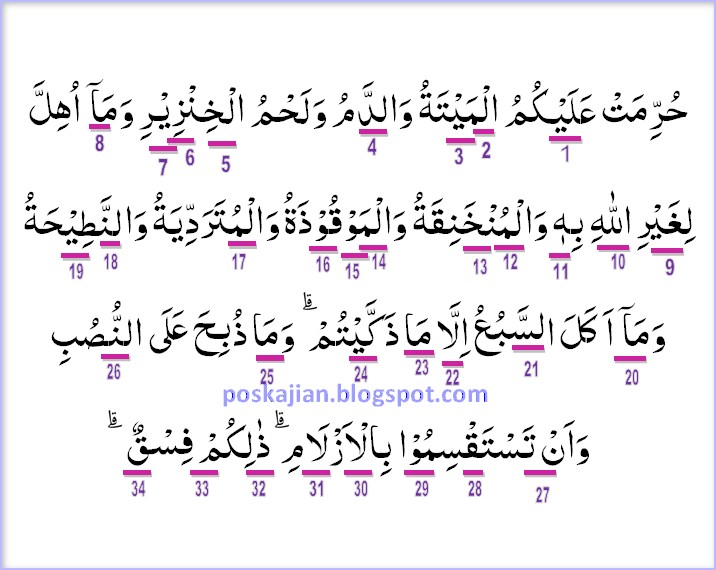 Detail Surat Al Maidah Ayat 3 Latin Dan Arti Nomer 52