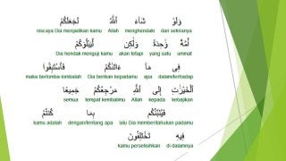 Detail Surat Al Maidah Ayat 48 Beserta Tajwidnya Nomer 30