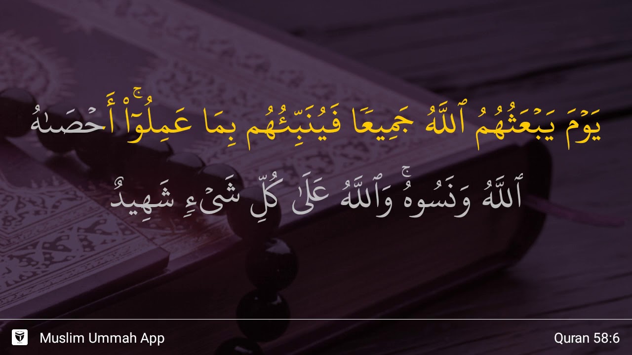 Surat Al Mujadalah Ayat 6 - KibrisPDR