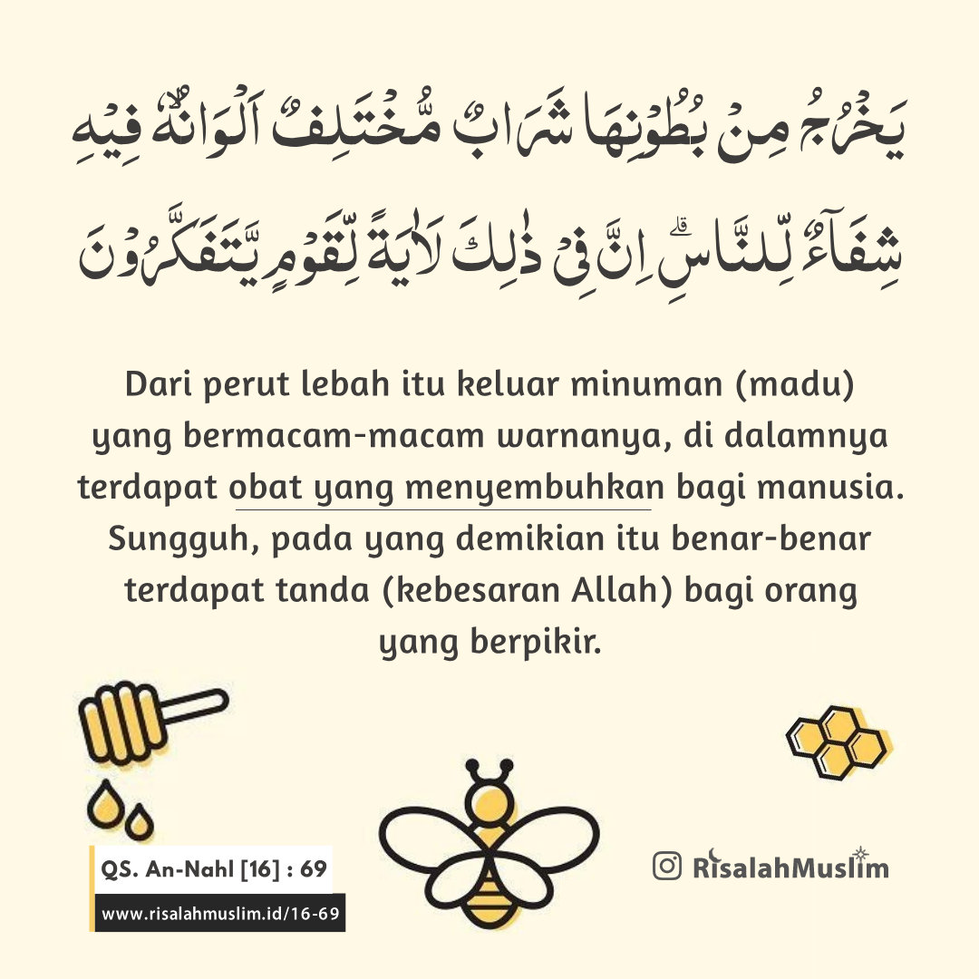 Detail Surat An Nahl Ayat 125 Beserta Artinya Nomer 51