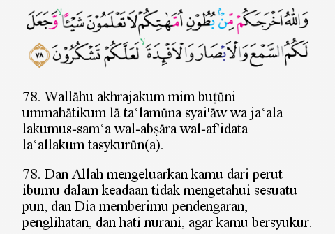 Detail Surat An Nisa Ayat 78 Beserta Artinya Nomer 10