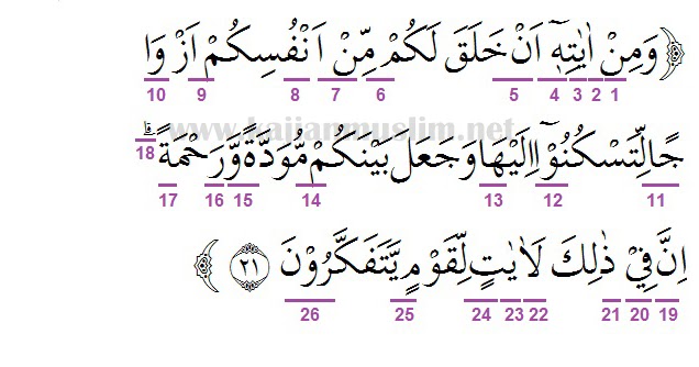 Detail Surat Ar Rahman Ayat 19 22 Beserta Artinya Nomer 36