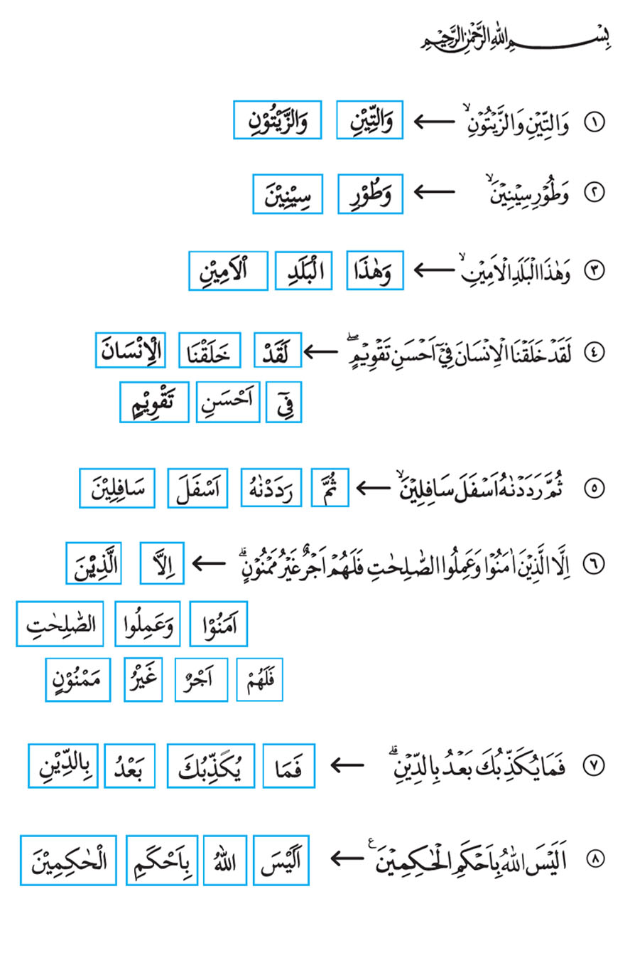 Detail Surat At Tin Ada Berapa Ayat Nomer 34