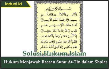 Detail Surat At Tin Ada Berapa Ayat Nomer 52