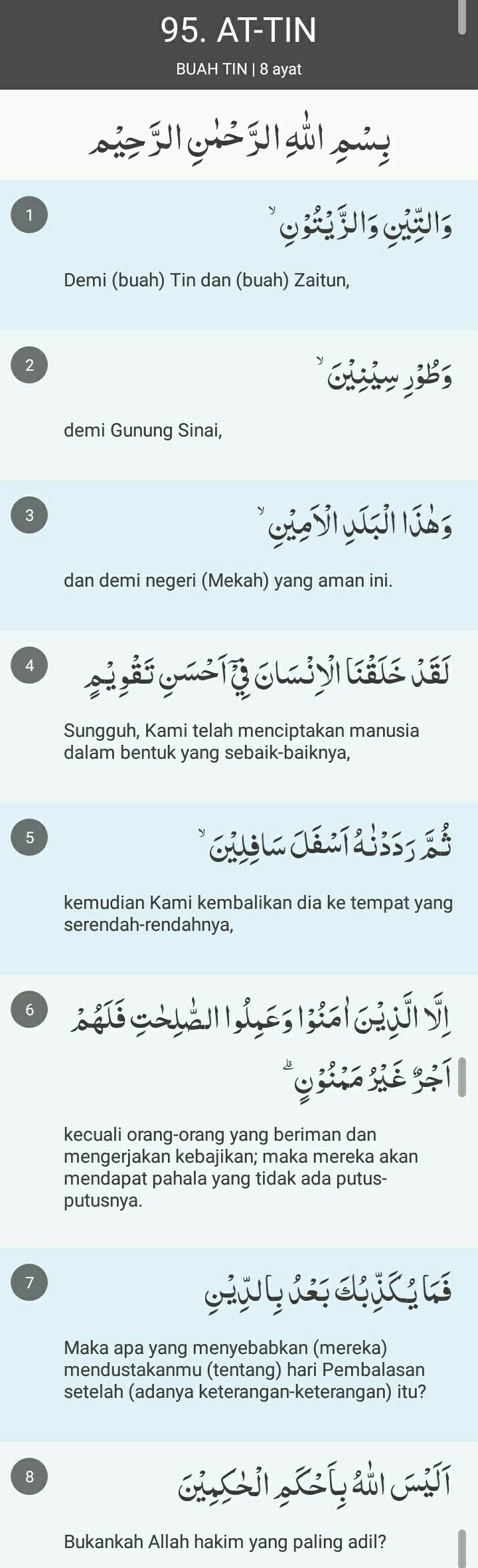 Detail Surat At Tin Ada Berapa Ayat Nomer 8