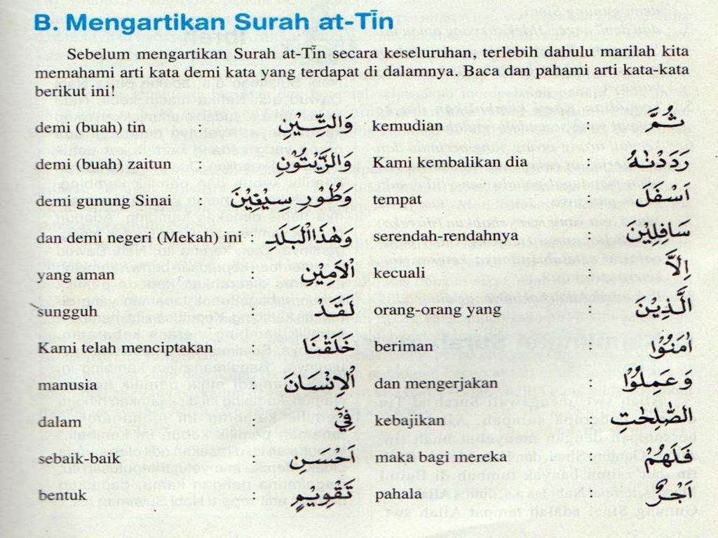 Detail Surat At Tin Bahasa Latin Nomer 32