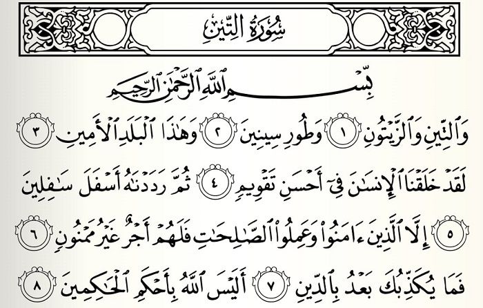 Detail Surat At Tin Surat Ke Berapa Dalam Al Quran Nomer 2