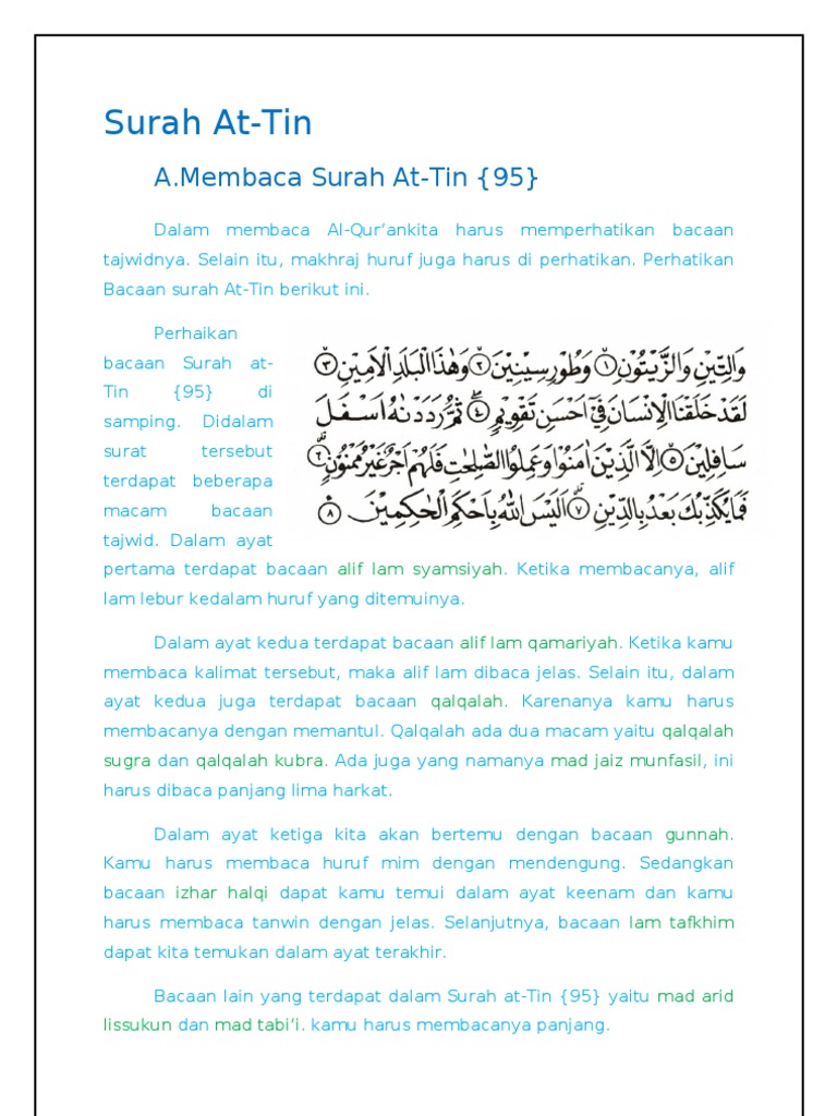 Detail Surat At Tin Surat Ke Berapa Dalam Al Quran Nomer 13