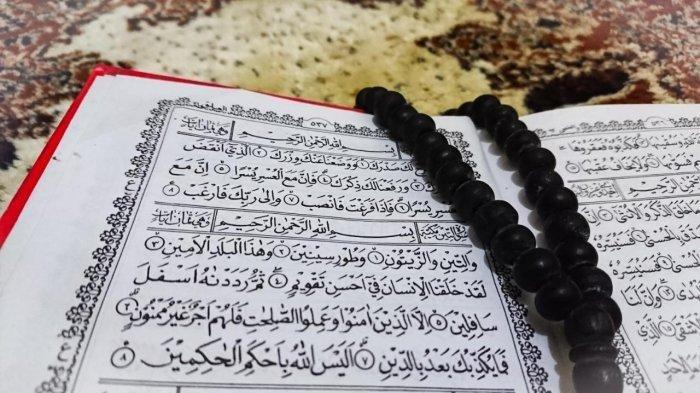 Detail Surat At Tin Surat Ke Berapa Dalam Al Quran Nomer 15