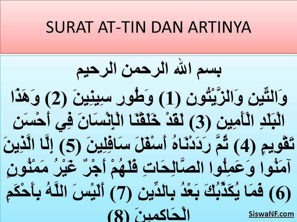 Detail Surat At Tin Tajwid Dan Artinya Nomer 29