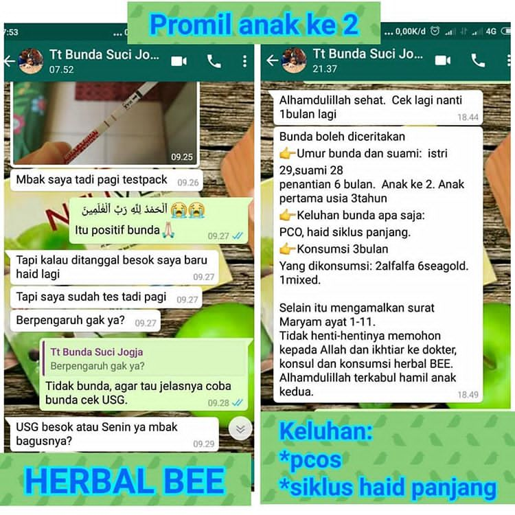 Detail Surat Maryam Untuk Promil Nomer 4