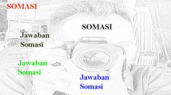 Detail Surat Tanggapan Pajak Nomer 31