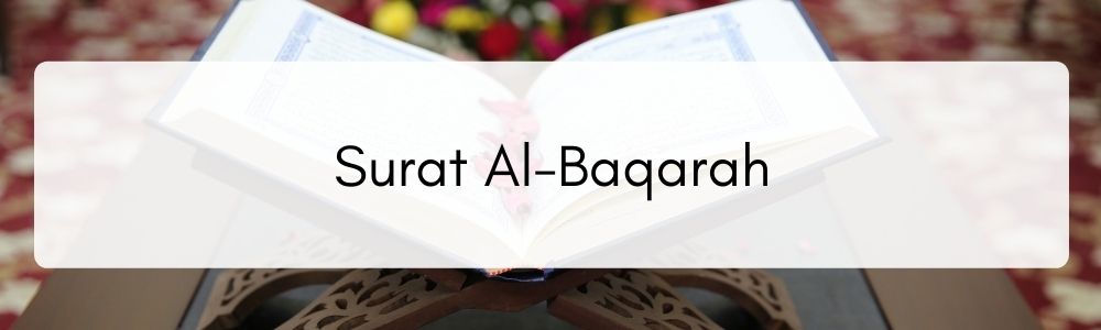 Detail Surat Untuk Penenang Hati Nomer 49