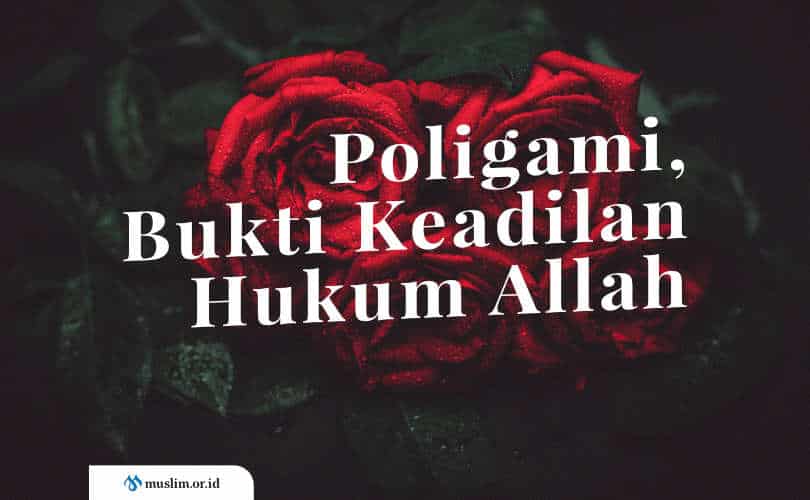 Detail Surat Yang Menjelaskan Tentang Poligami Nomer 41