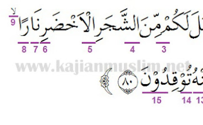 Detail Surat Yasin Ayat 82 Untuk Pengasihan Nomer 18