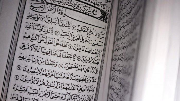 Surat Yasin Dalam Al Quran Halaman Berapa - KibrisPDR