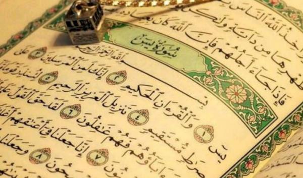 Detail Surat Yasin Dalam Al Quran Halaman Berapa Nomer 10