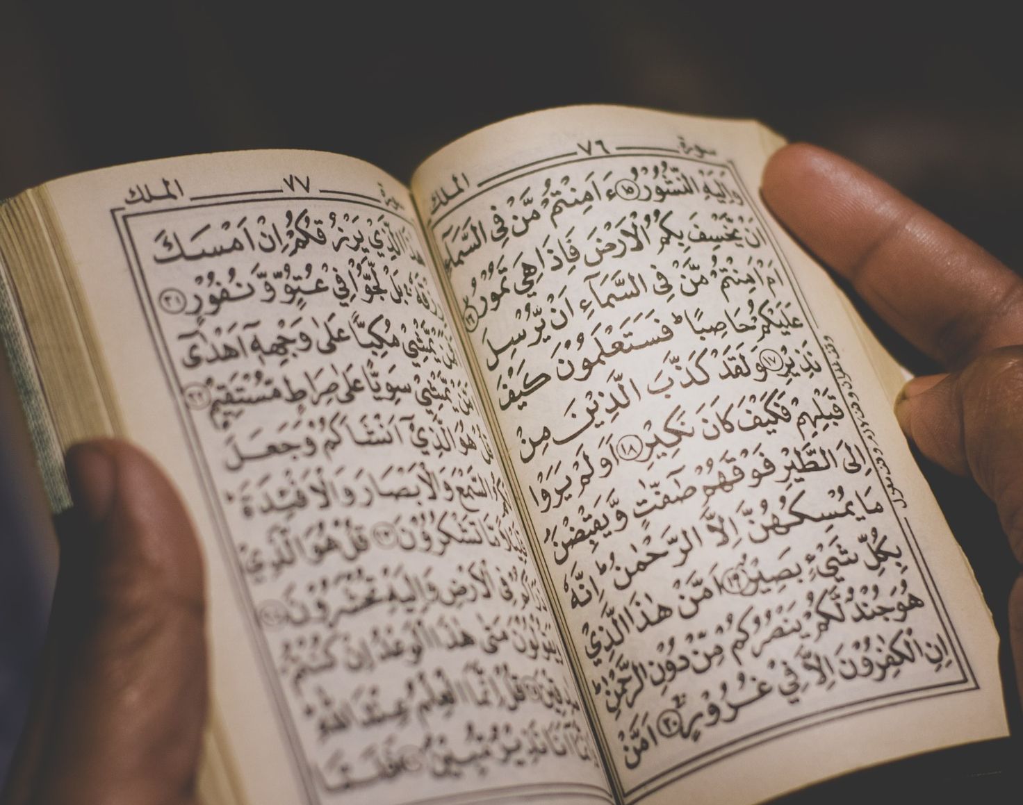 Detail Surat Yasin Dalam Al Quran Halaman Berapa Nomer 19