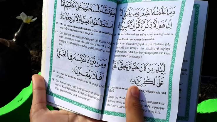 Detail Surat Yasin Dalam Al Quran Halaman Berapa Nomer 43