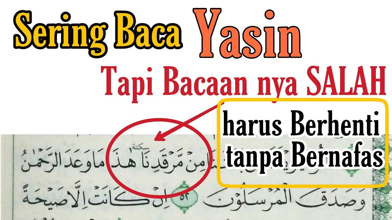 Detail Surat Yasin Halaman Berapa Di Alquran Nomer 30