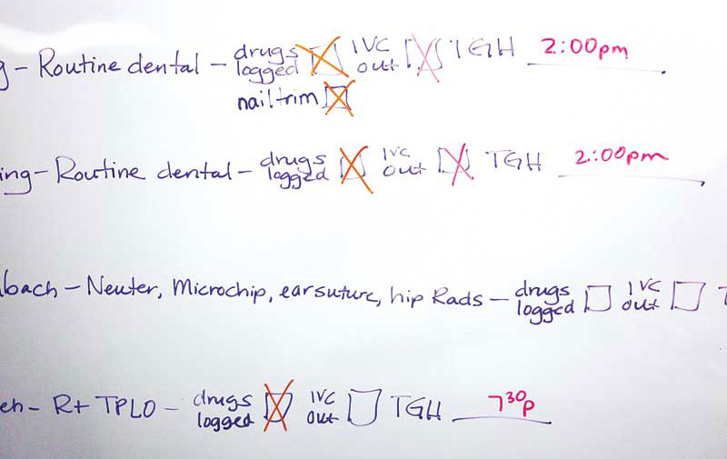 Detail Surgical Checklist Template Nomer 42