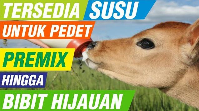 Detail Susu Untuk Anak Kambing Nomer 33