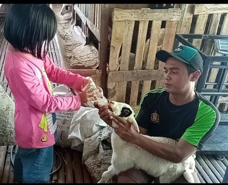 Detail Susu Untuk Anak Kambing Nomer 38