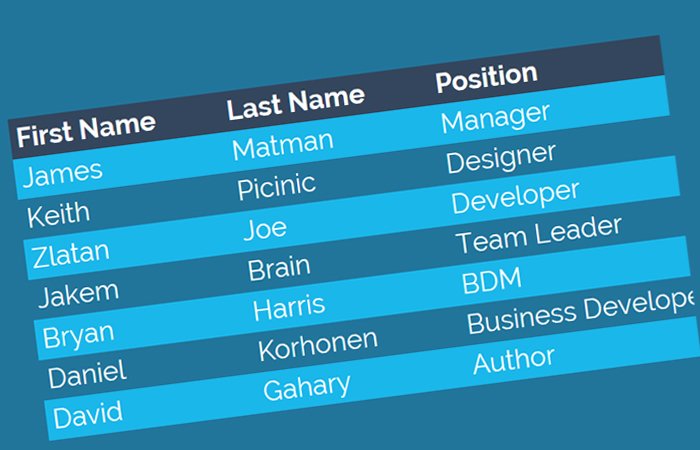 Detail Table Css Template Nomer 49