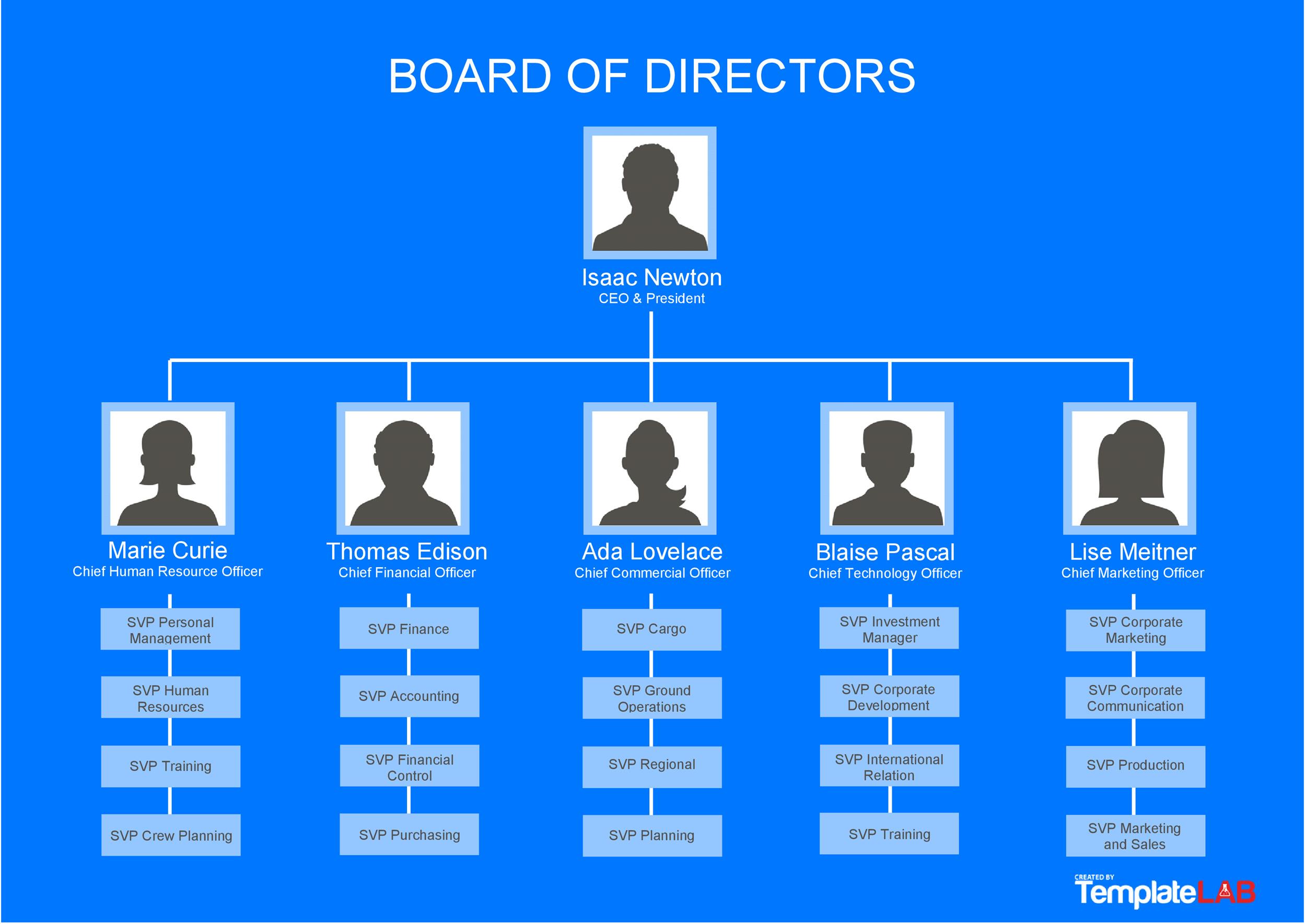 Download Table Of Organization Template Nomer 1