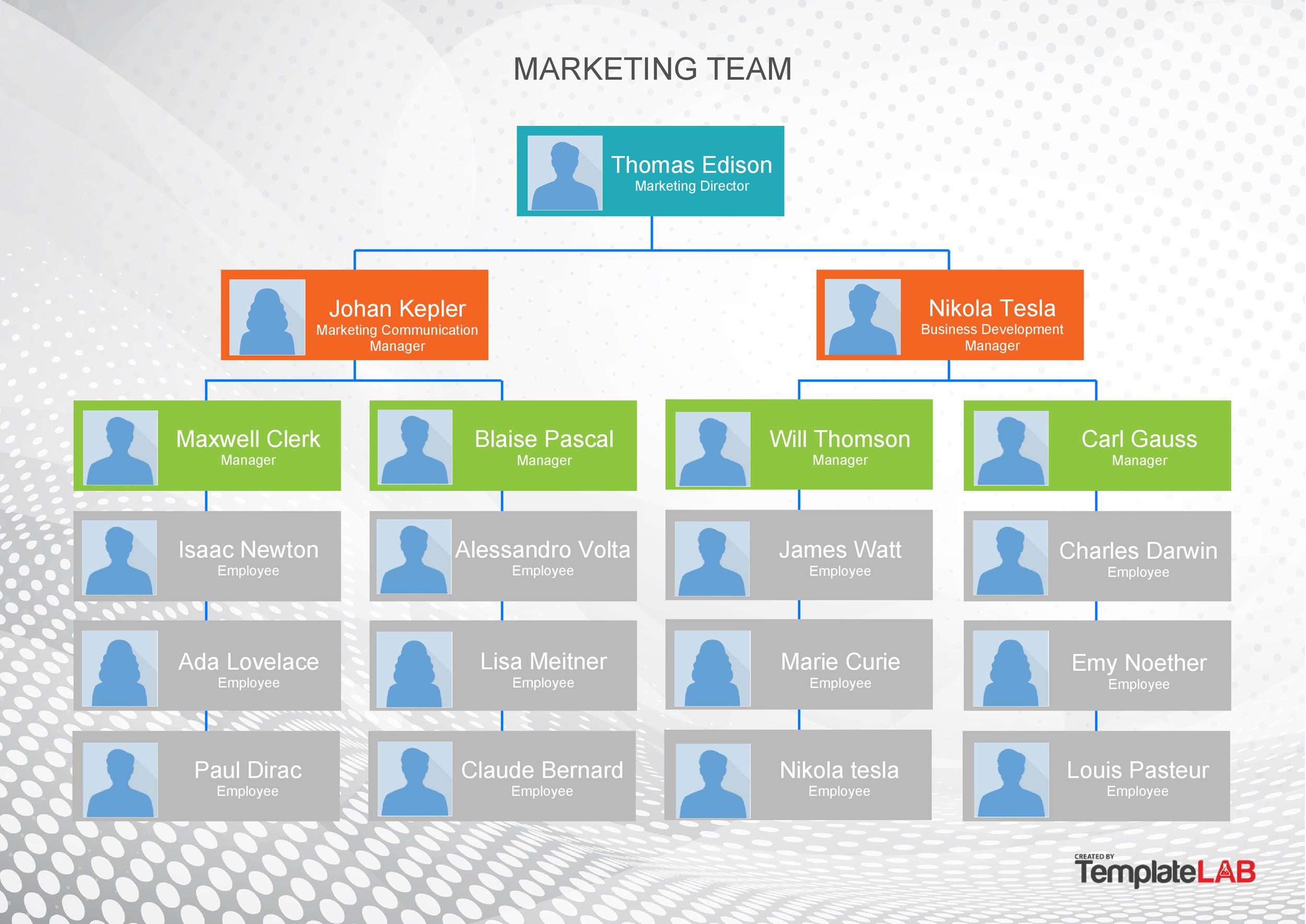 Detail Table Of Organization Template Nomer 19