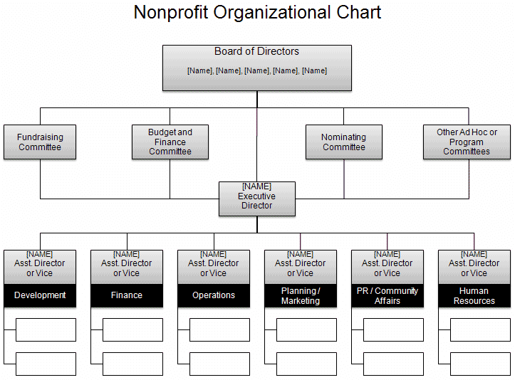 Detail Table Of Organization Template Nomer 37