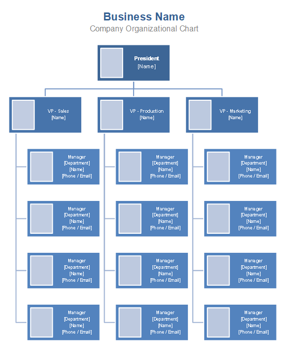 Detail Table Of Organization Template Nomer 6