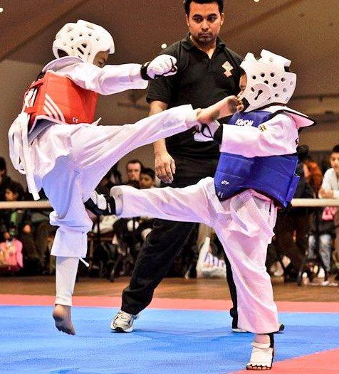 Detail Taekwondo Untuk Anak Nomer 46