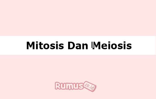 Detail Tahapan Meiosis Beserta Gambar Nomer 53