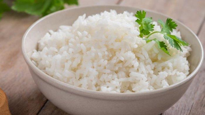 Detail Takaran Makan Nasi Untuk Diet Nomer 12
