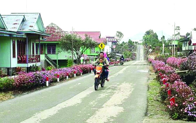 Detail Taman Bunga Rumah Kampung Nomer 40