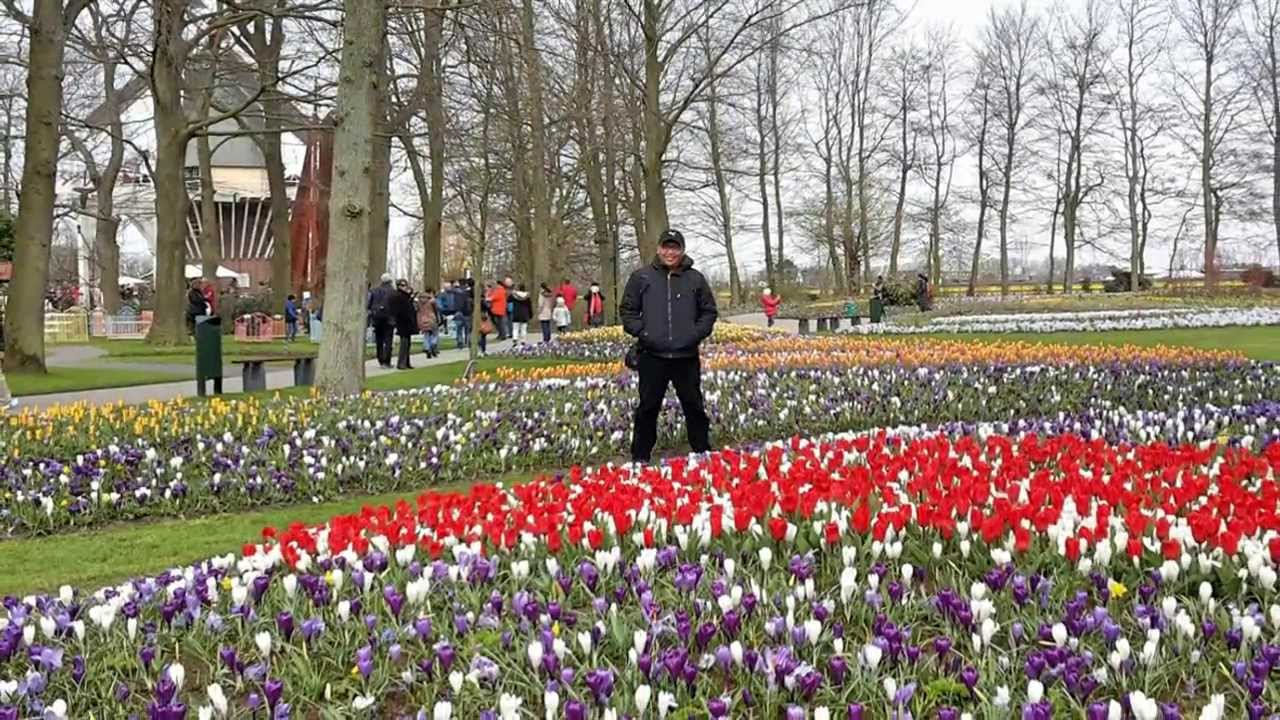 Detail Taman Bunga Tulip Belanda Nomer 25