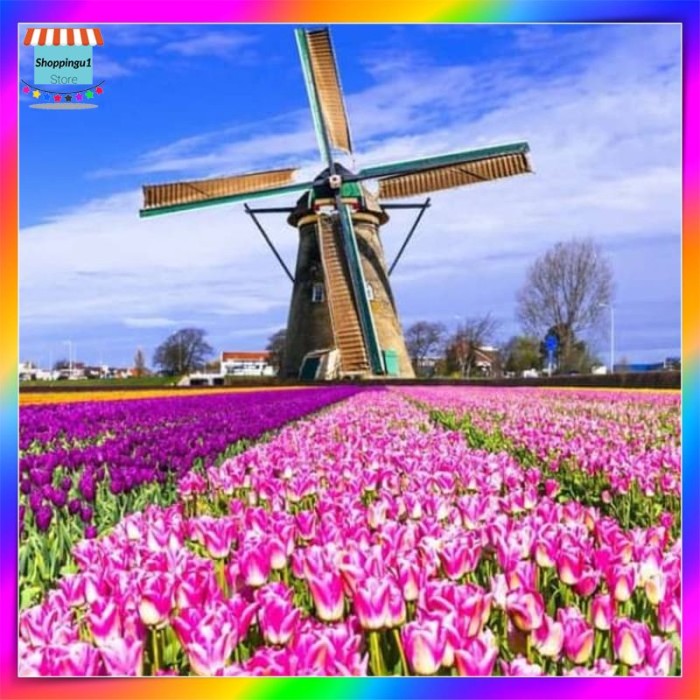 Detail Taman Bunga Tulip Belanda Nomer 40